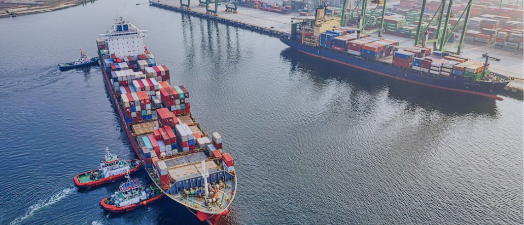 Assist the terminal transportation company in launching local and port operations